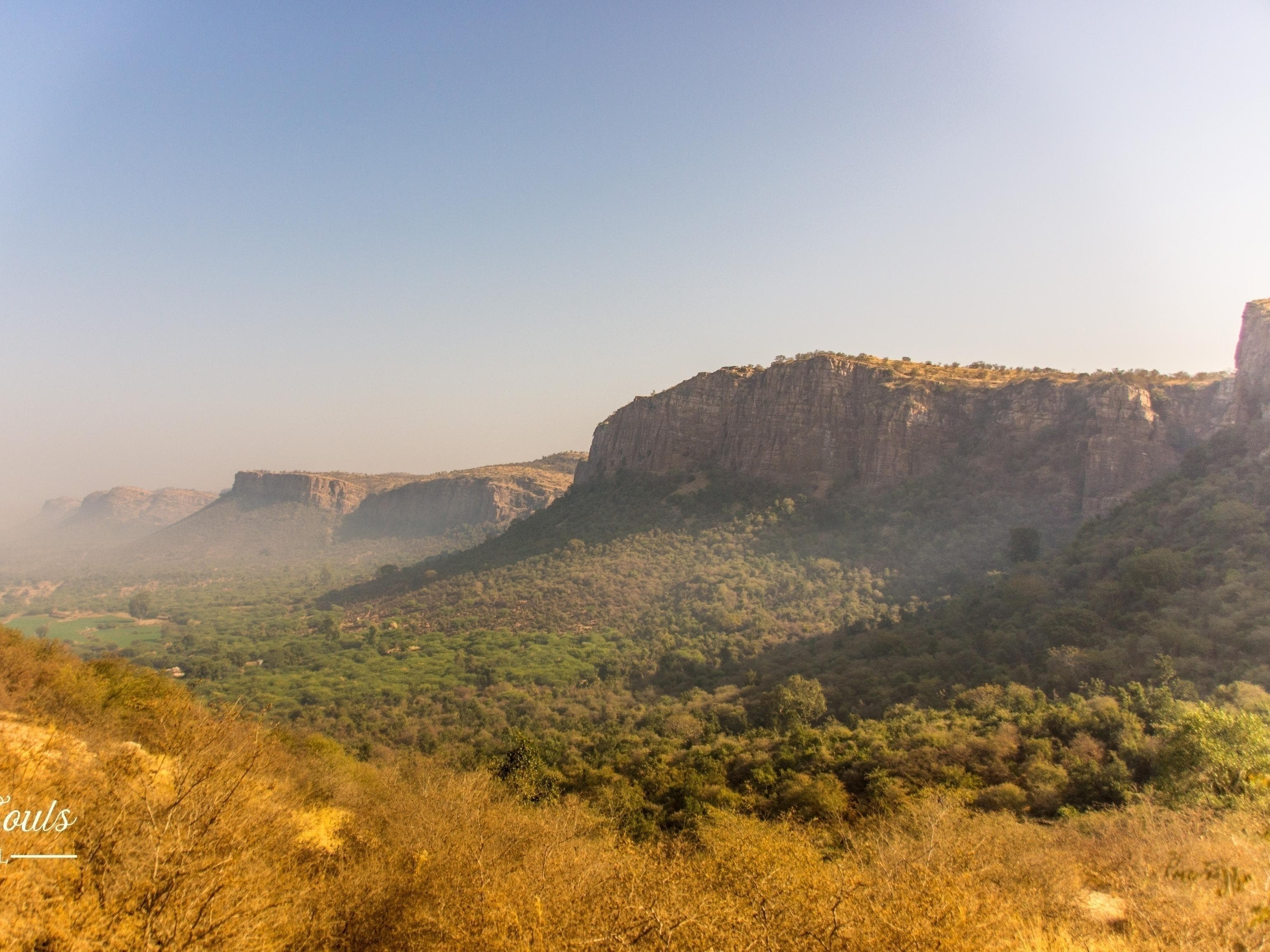Ranthambore landscape
